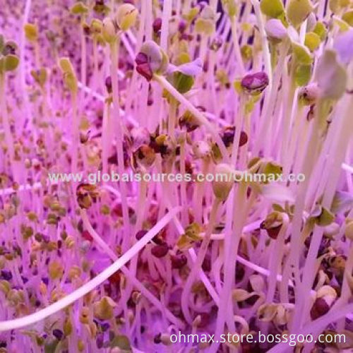 Water-resistant LED Grow Light, 36W/T8 Tube to Replace Traditional Fluorescent Tube for Indoor Plant